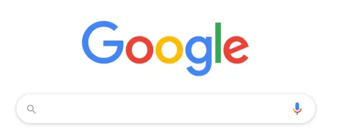 Google Search Google search